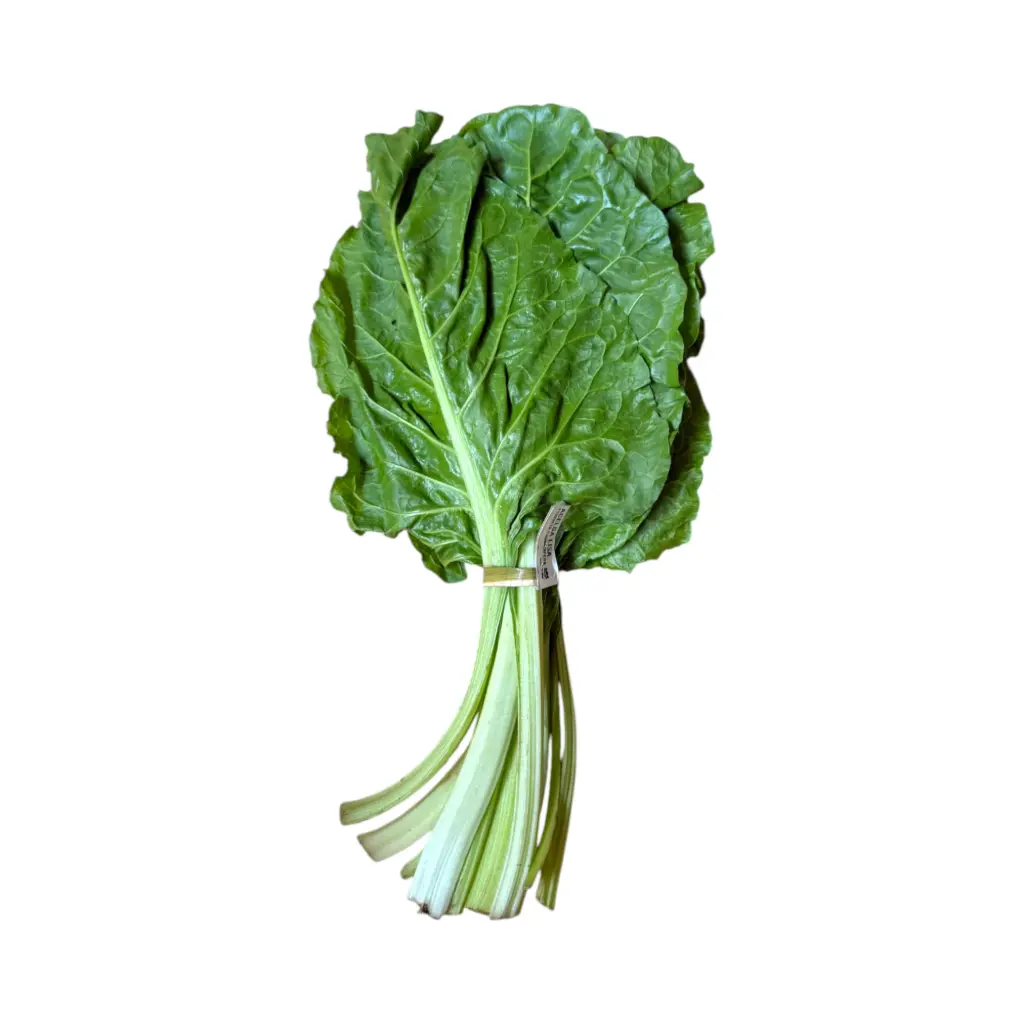 Acelga lisa mjo ETIQUETA CHINAMPERA