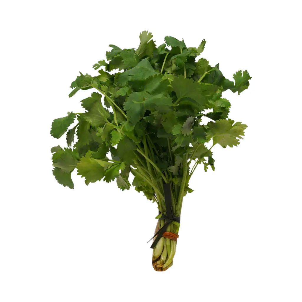 Cilantro 100gr mjo ETIQUETA CHINAMPERA