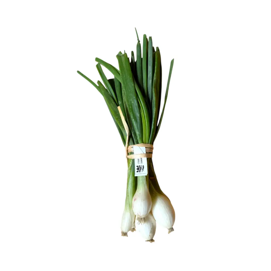 Cebolla cambray 200gr pz SELLO VERDE