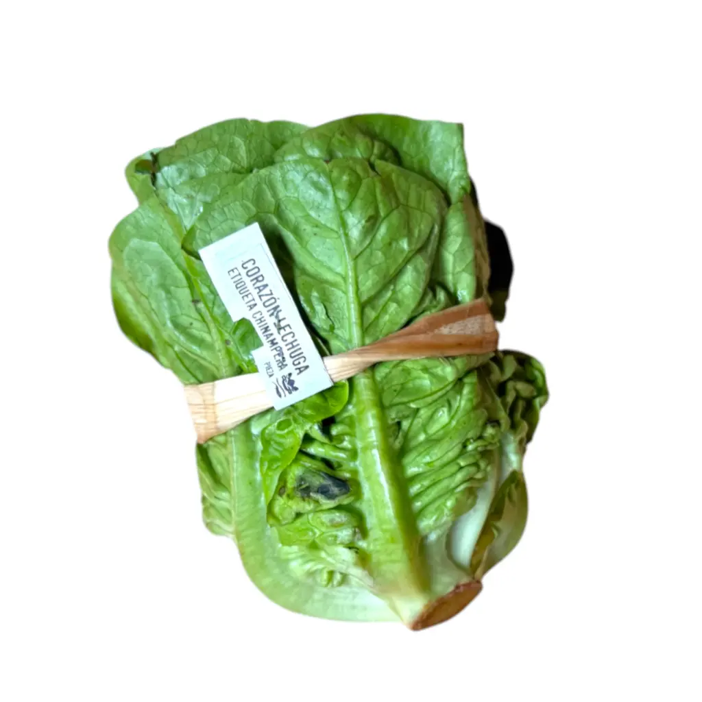 Corazón de lechuga pz SELLO VERDE