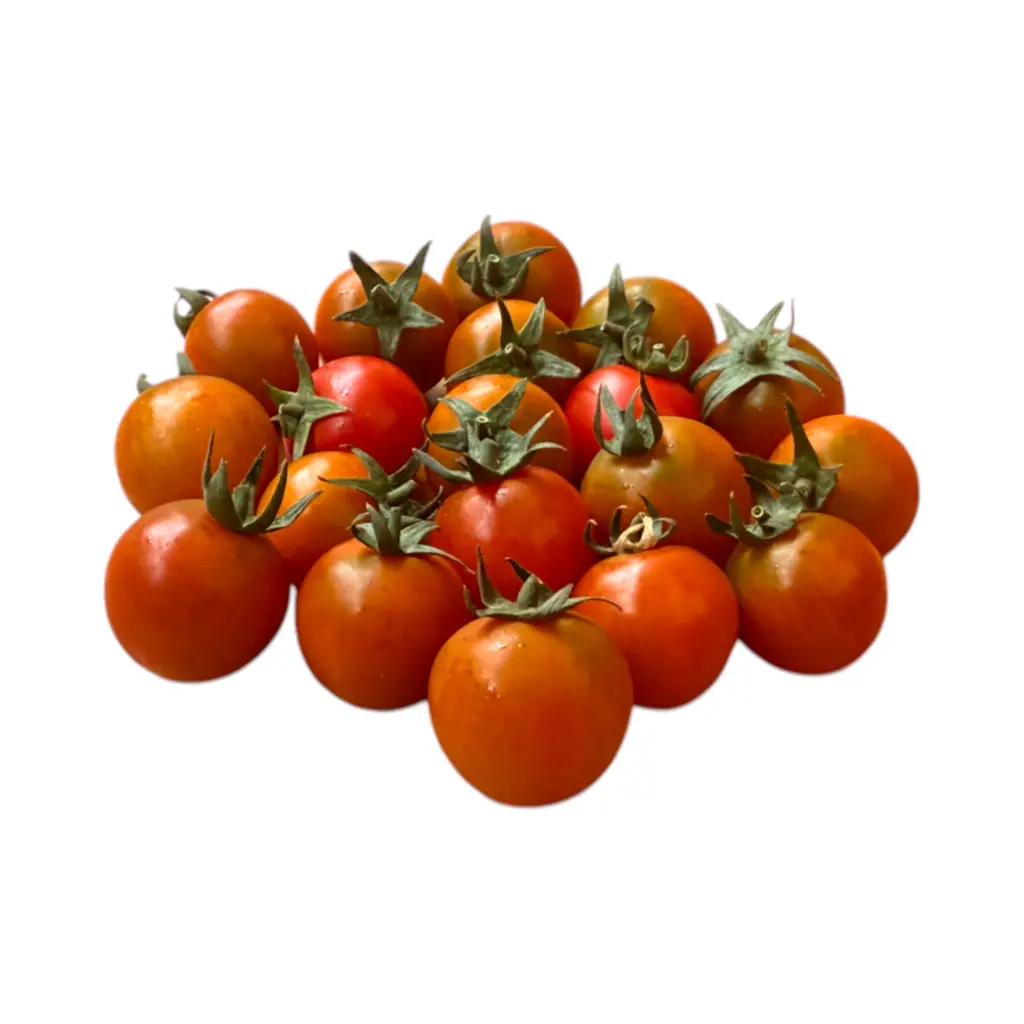 Jitomate cherry kg SELLO VERDE