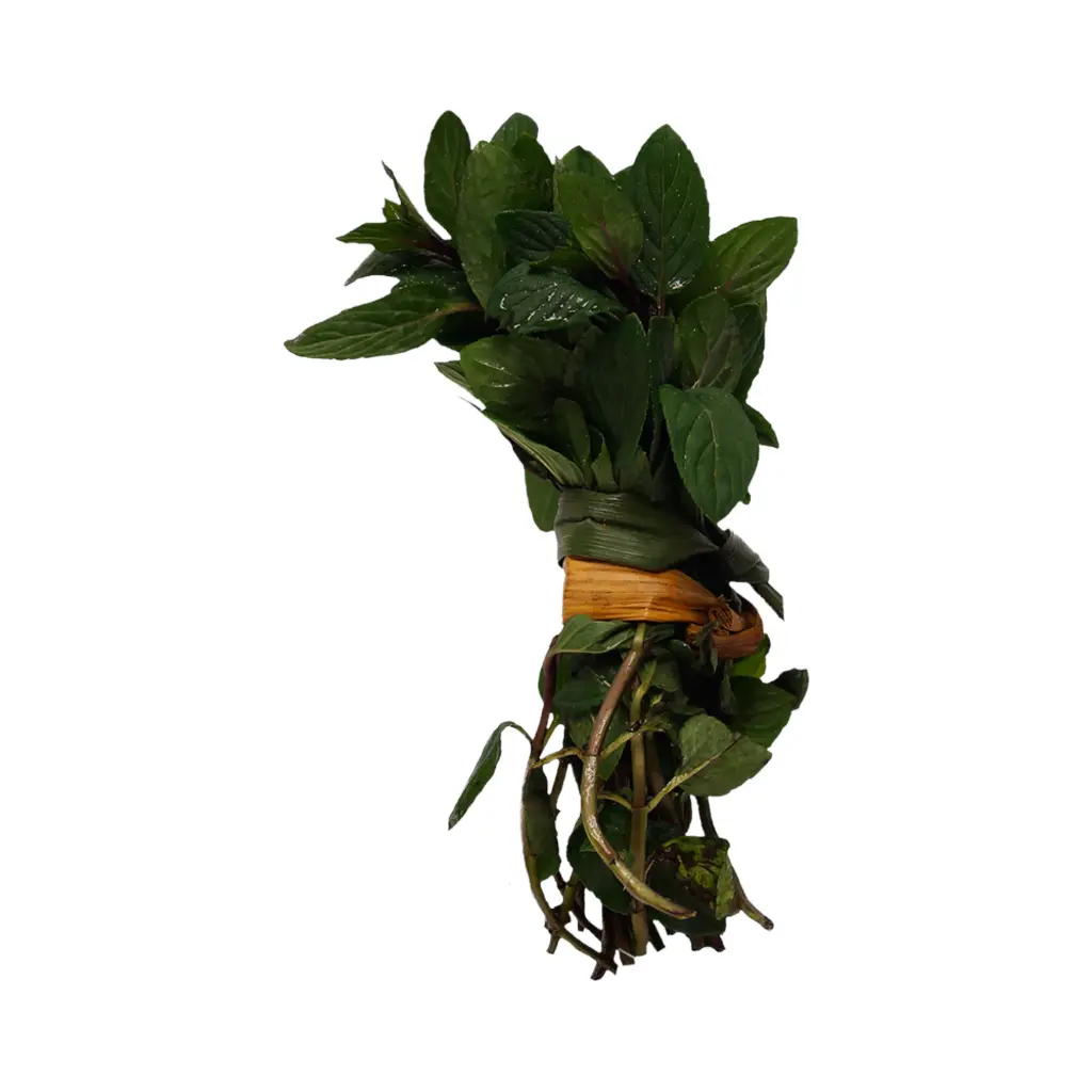 Menta 100gr mjo ETIQUETA CHINAMPERA