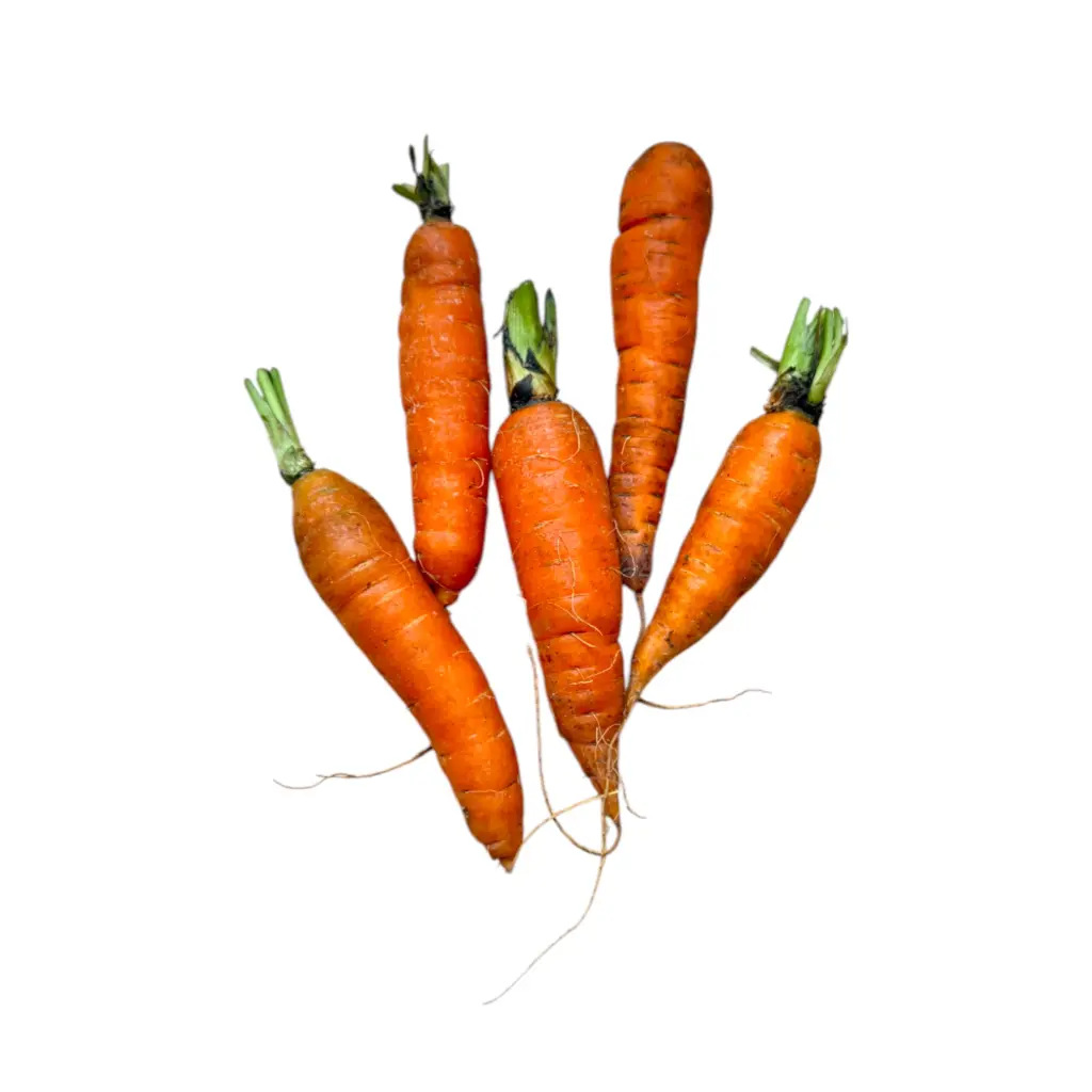 Zanahoria naranja kg ETIQUETA CHINAMPERA