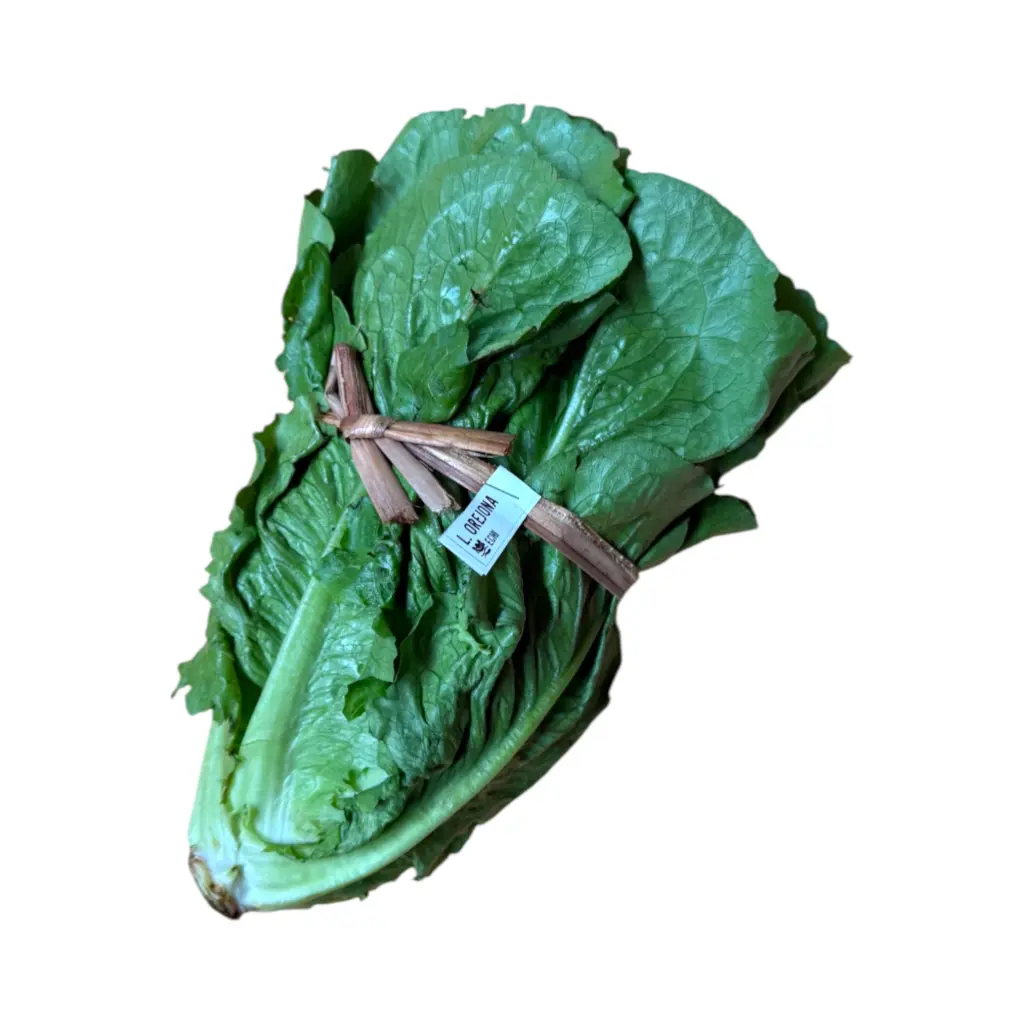 Lechuga orejona pz SELLO VERDE