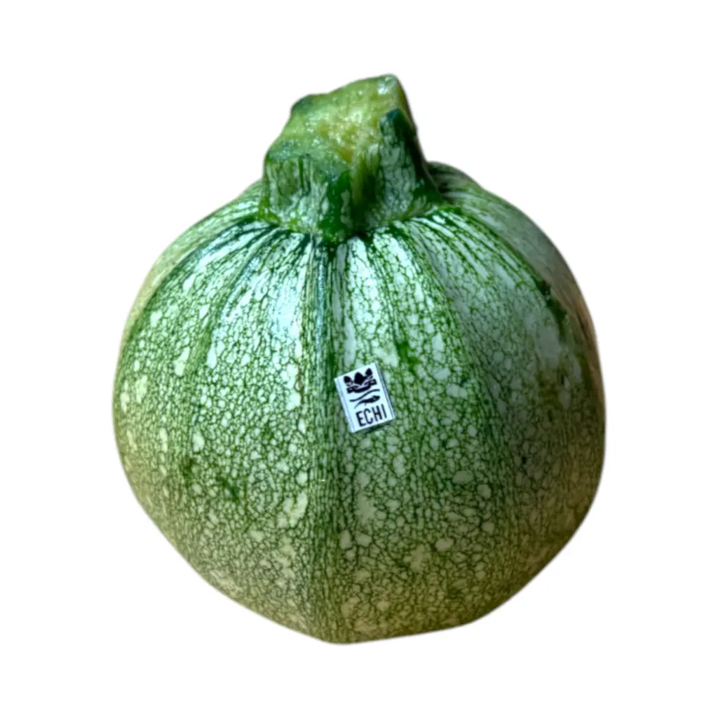 Calabaza redonda ETIQUETA CHINAMPERA (250gr)