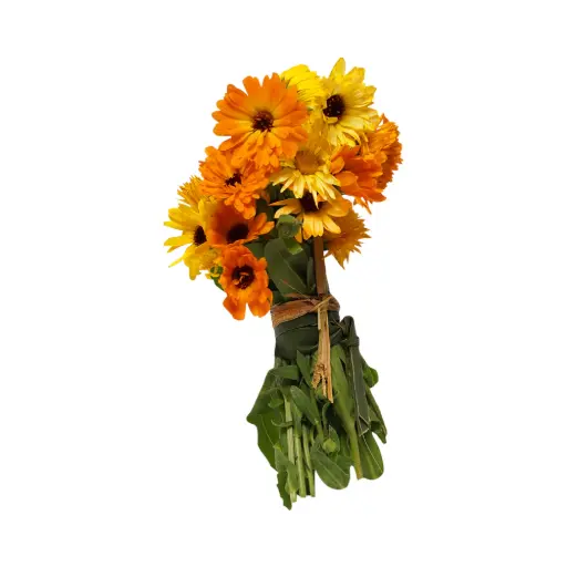 Caléndula mjo 150gr ETIQUETA CHINAMPERA