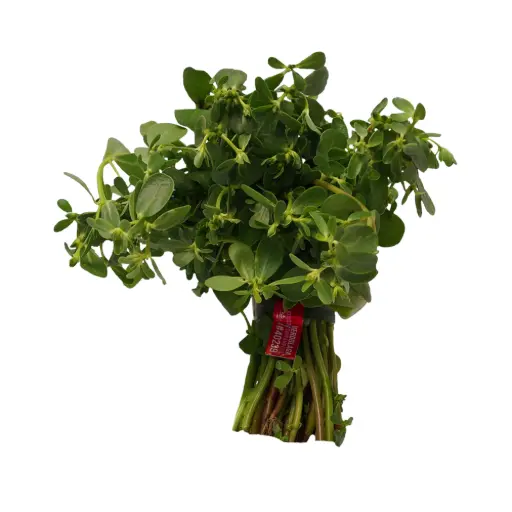 Verdolaga mjo ETIQUETA CHINAMPERA