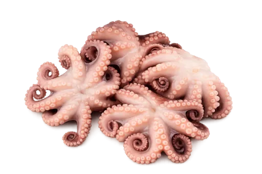 Pulpo de Baja California en flor kg SMART FISH